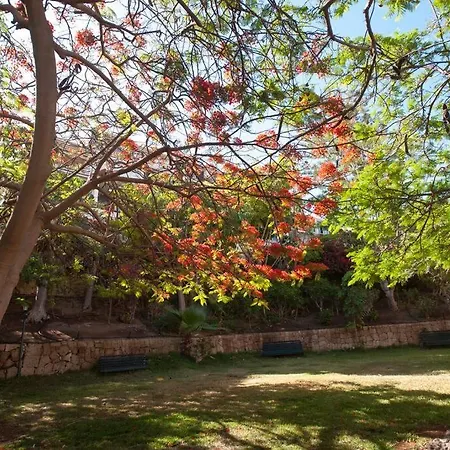 Apartamento Modern 2 Bed Penthouse Americas Centre Of Town With A Pool And Ocean Views *